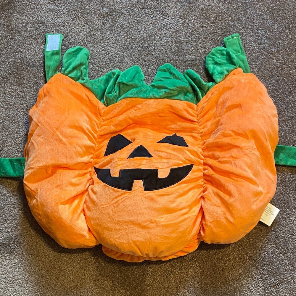 Dog Pumpkin Puffy Halloween Costume Size Large